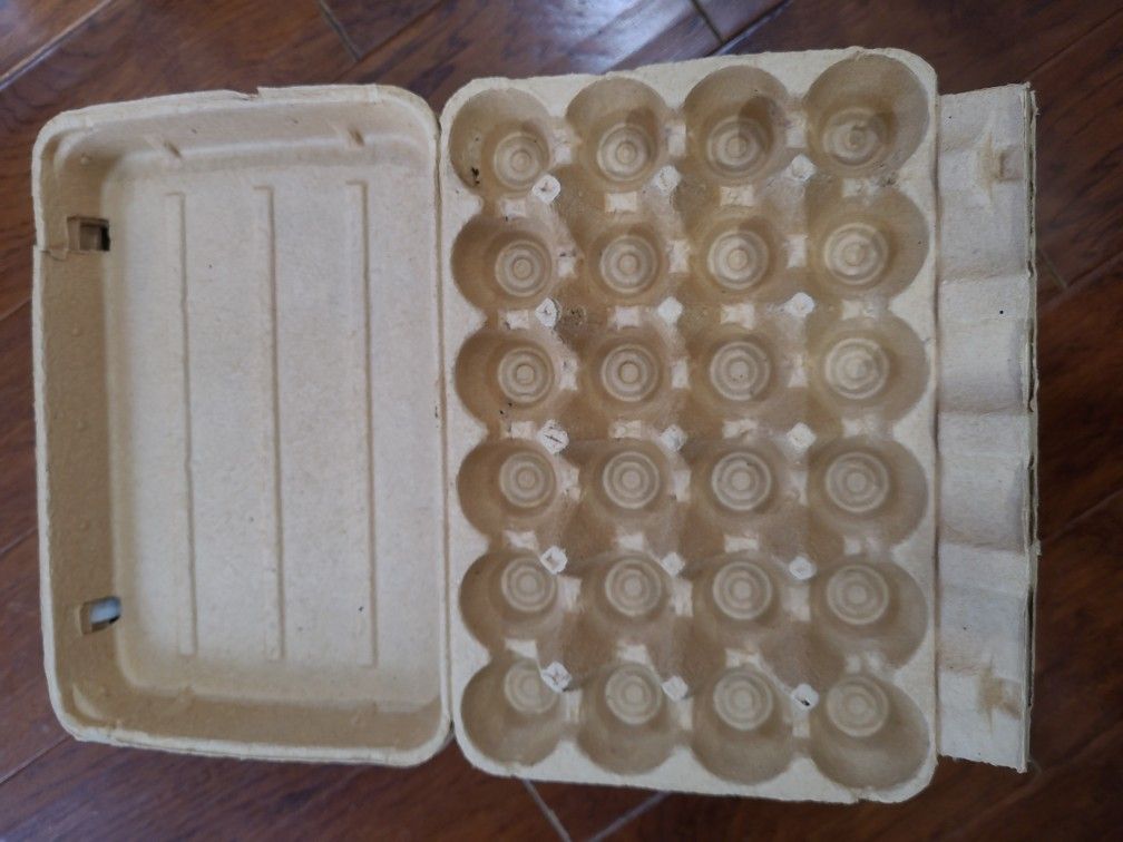 Egg Trays