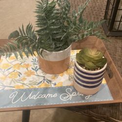 Artificial Plants And Tray 