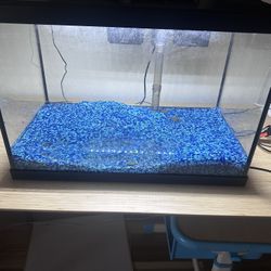 Pending Pick Up Free 30 Gal Fish tank With One Nerite Snail 