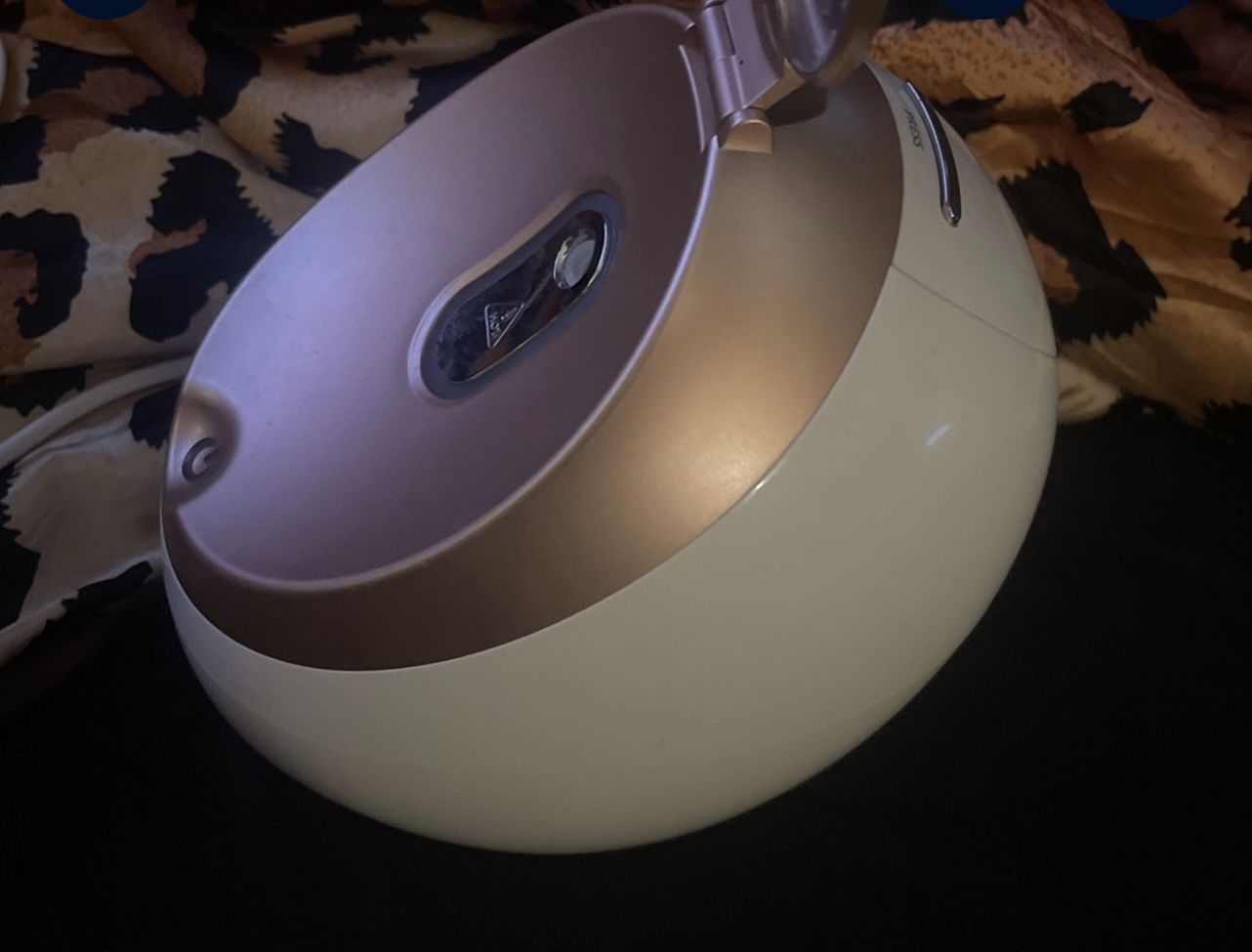 Facial Steamer