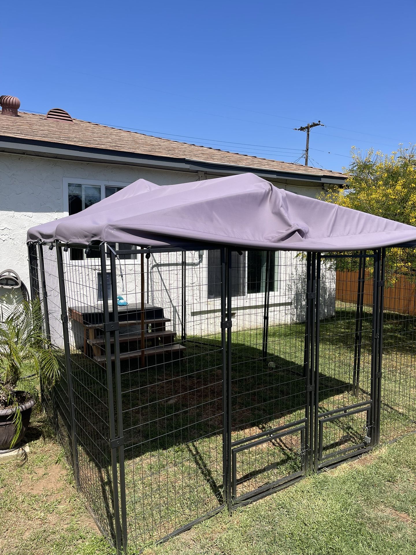 Dog Kennel