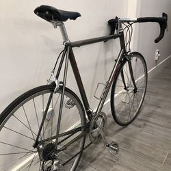 LeMond Alpe D Huez Road Bike Campagnolo