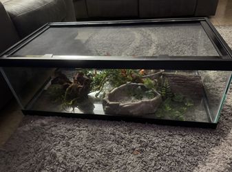 40 GAL TANK (ENRICHMENT INCLUDED)