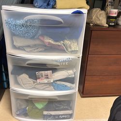 Large Organization Bin
