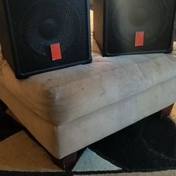 Fender LTB 10 Inch Speakers With Brand New Stands In The Box