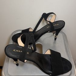 Size 11 Coach Regina Suede Heel (Black)