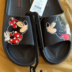 Mickey Mouse Slides 