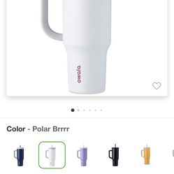 Owala 40oz Stainless Steel Tumbler with Handle