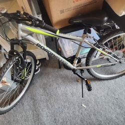 Road master Bike 18-20'