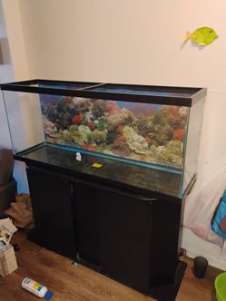 Fish tank 55 gallons