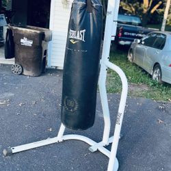  Punching Bag