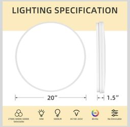 Brand New 20inch Ceiling Light 