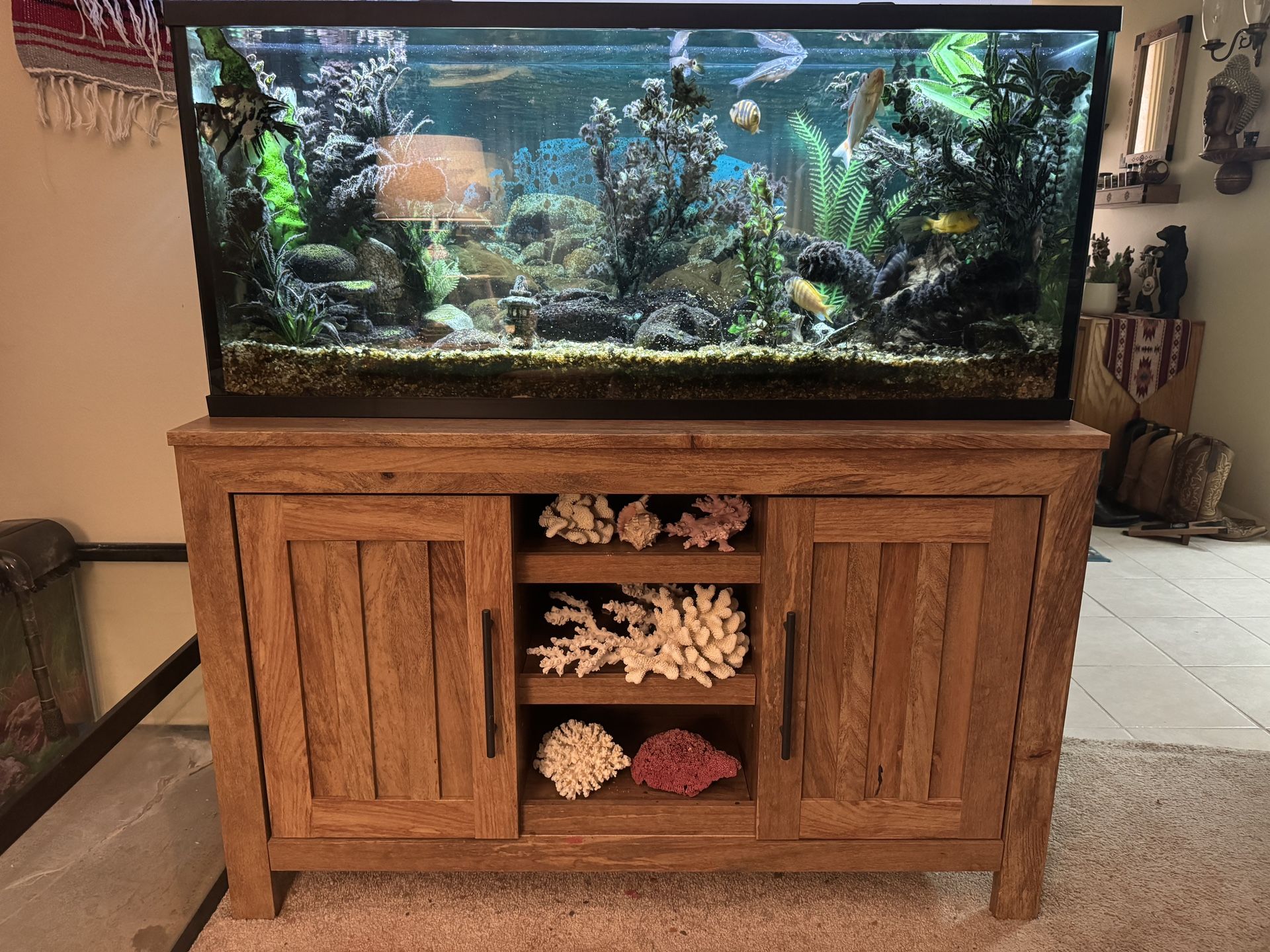 55 Gal Aquarium With Cabinet Stand