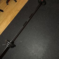 Barbell with Weights