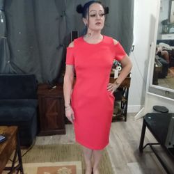 Calvin Klein Women's Dress Size 8 