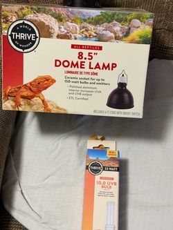 Thrive 8.5" Reptile Dome Lamp with UVB Bulb