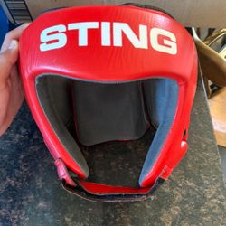 Sting headgear
