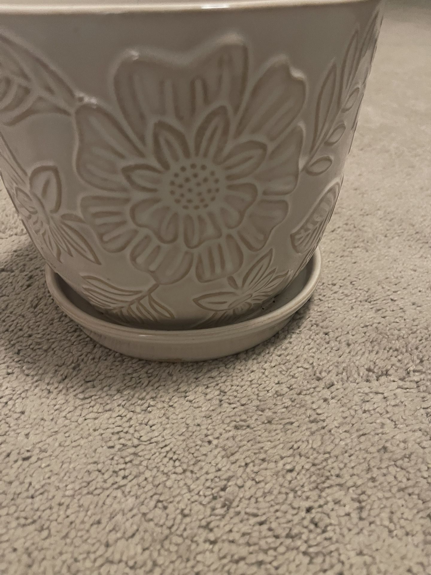 Flower Pot