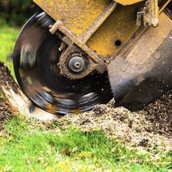 stump grinder