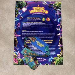 Beyond Wonderland Ticket