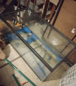 Unique Big Wide Aquarium Tank for Fish or Reptiles