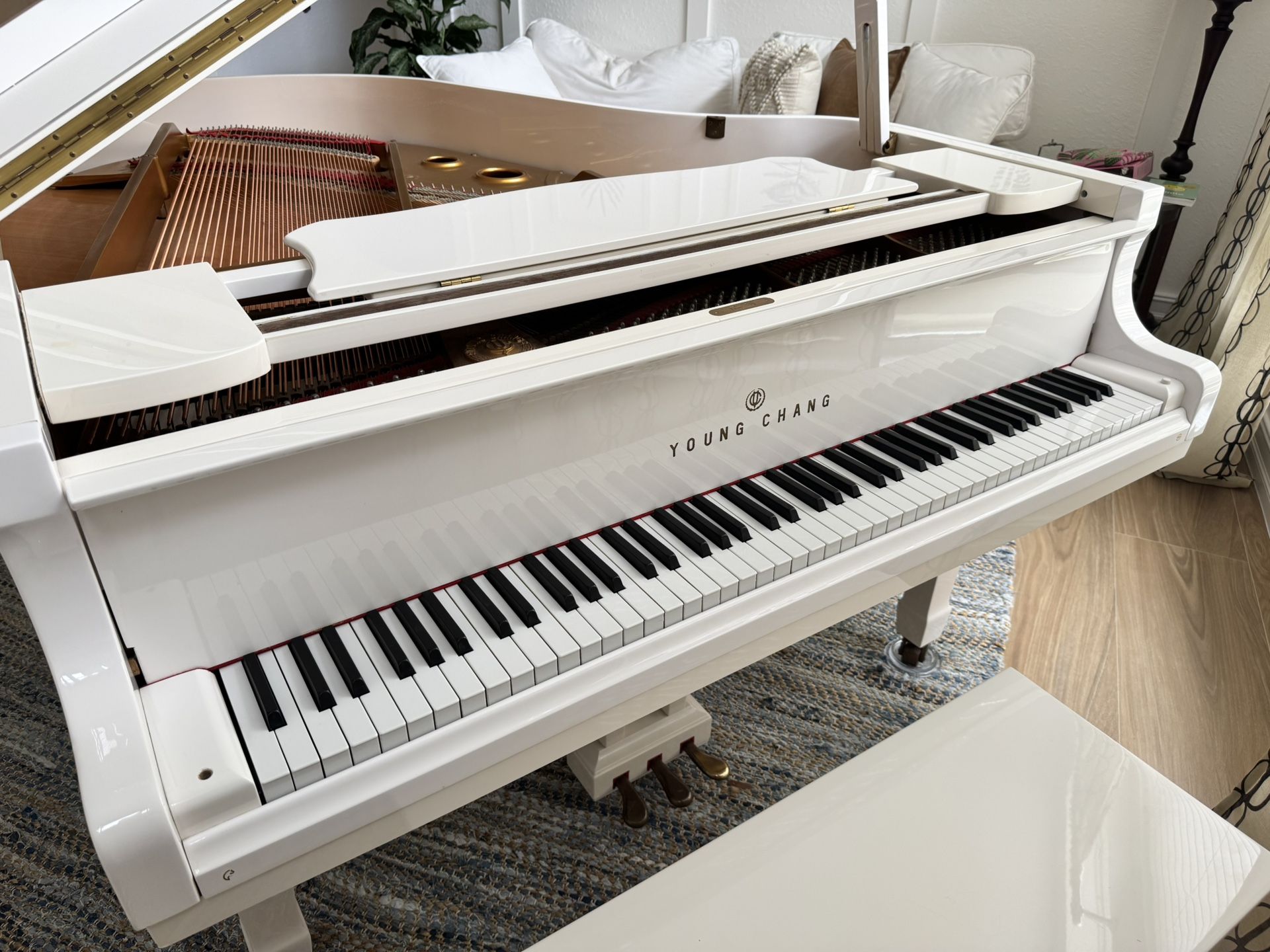 Baby Grand Piano