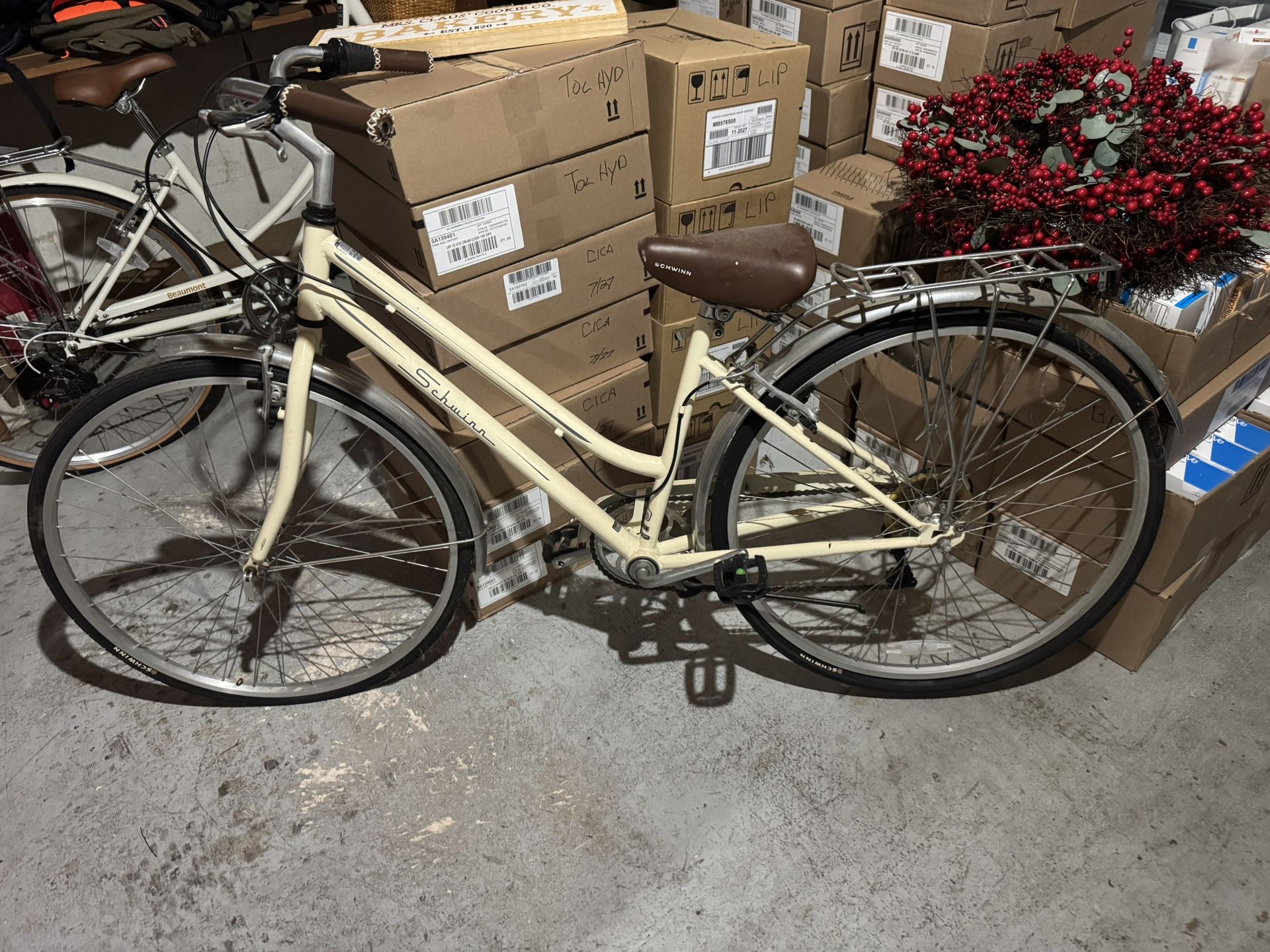 Schwinn Cruiser Bike