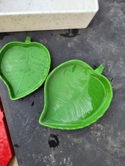 Tortoise/ Turtle Supplies