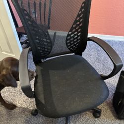 Office Chair 