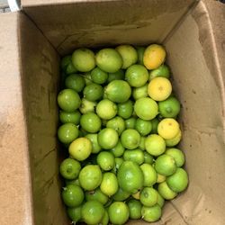Lemons 35 X $5.00