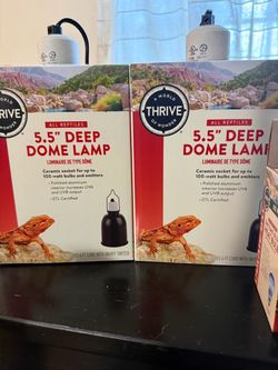 Thrive Deep Dome Lamp 5.5 and basking bulb and daylight blue bulb