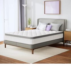 Free- Wayfair Hybrid queen mattress