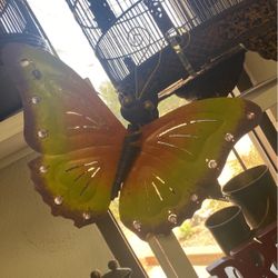 Medium Butterfly Tin Iron