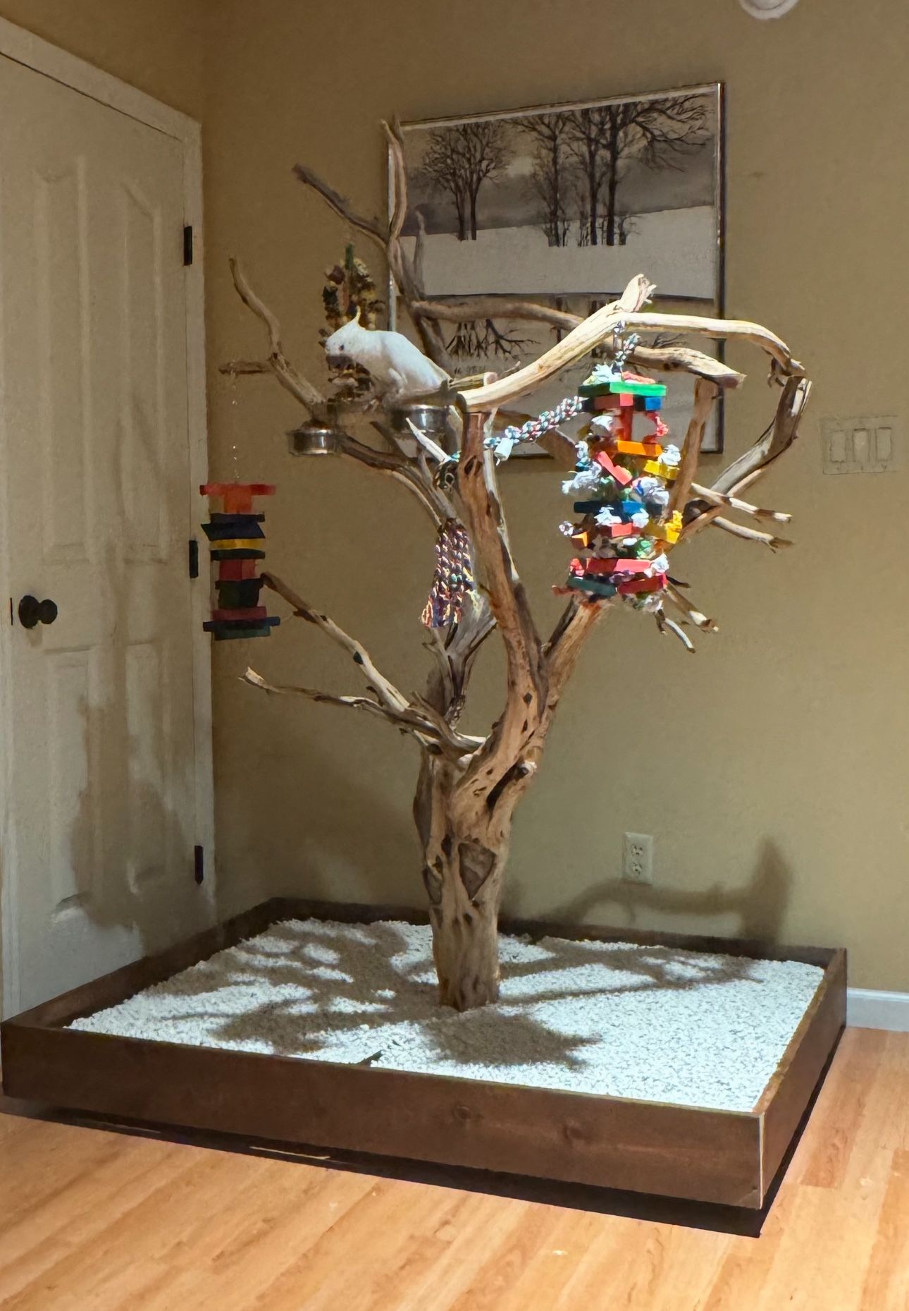 Bird Stand manzanita Tree