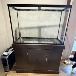Fish Tank With Extras! 