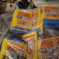 Desert Storm Victory Series