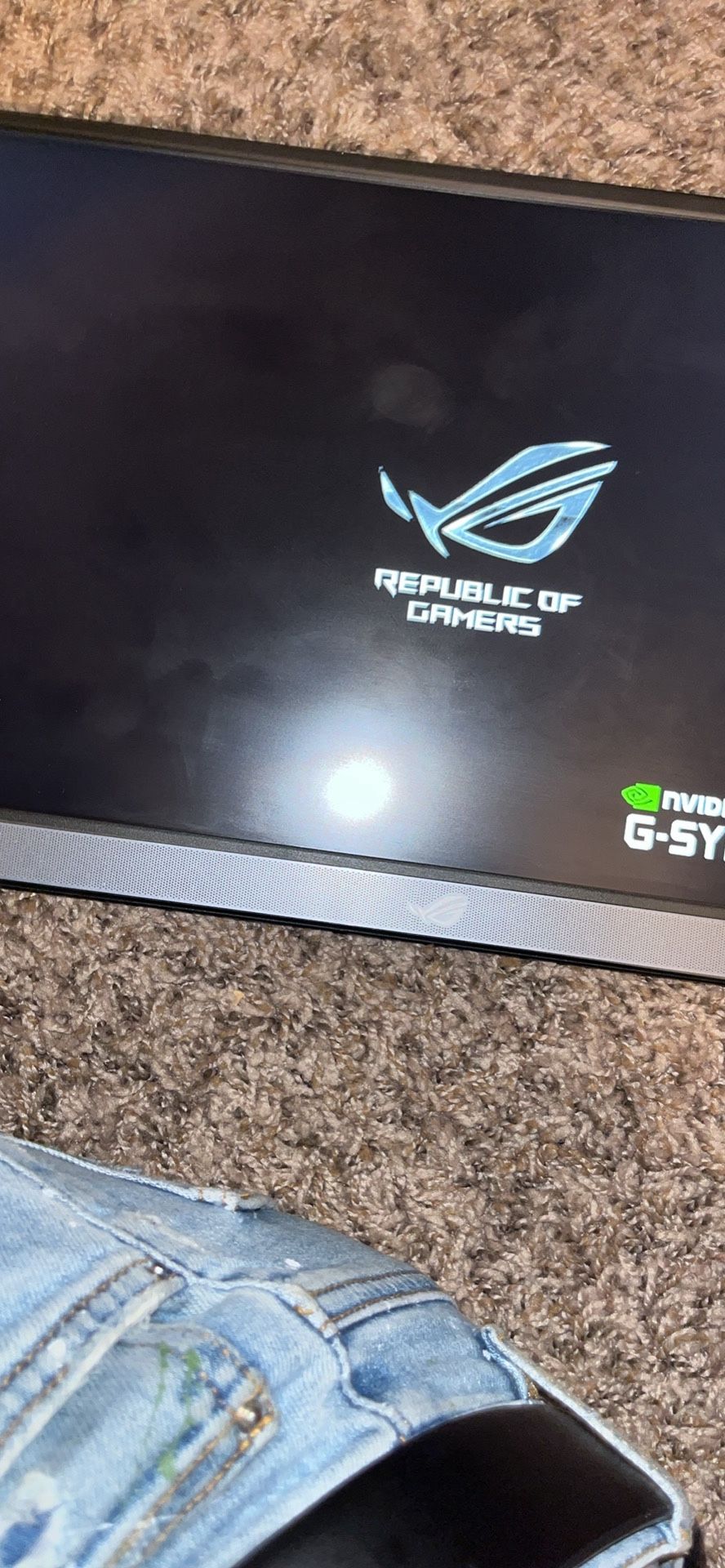 Gaming Monitor