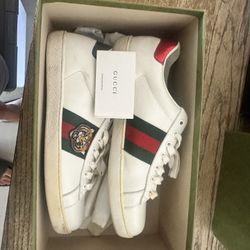 Gucci Shoes 