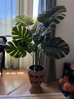 Faux Plant