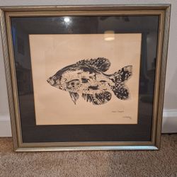 Original Art Black Crappie Pen And Ink