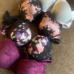 Torrid Bras