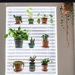 Hanging Acrylic 3 Shelf Window Plant Shelves Set of 2 BRAND NEW
