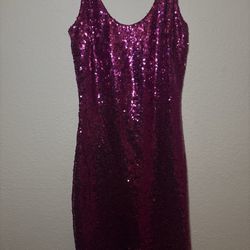 XS Hot Pink Sequin Dress.