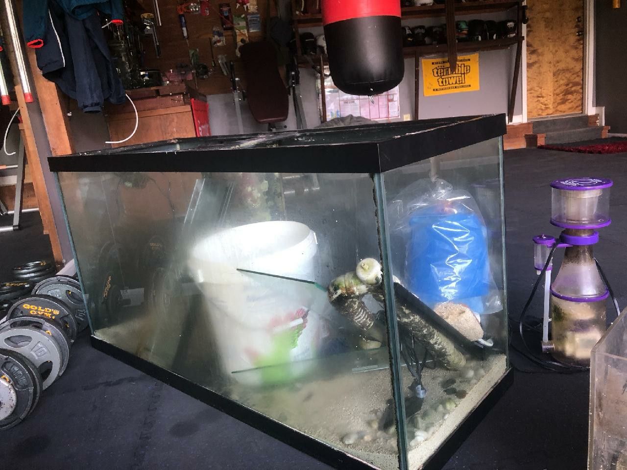 90 Gallon Mega Flow Salt Water Fish Tank