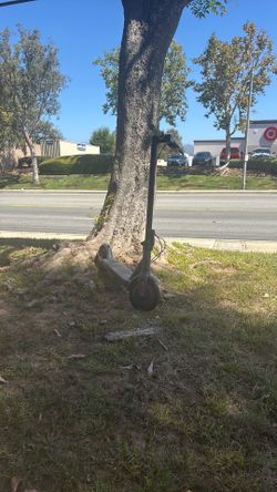 Electric scooter