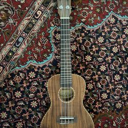 Ukulele: Sunlite UC-130T