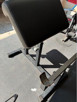 Preacher curl