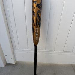 Demarini BBCOR -3 /  Marucci FUNGO 