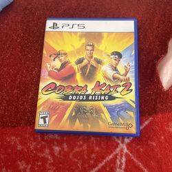 PS5 Game : Cobra Kai 2 Dojos Rising
