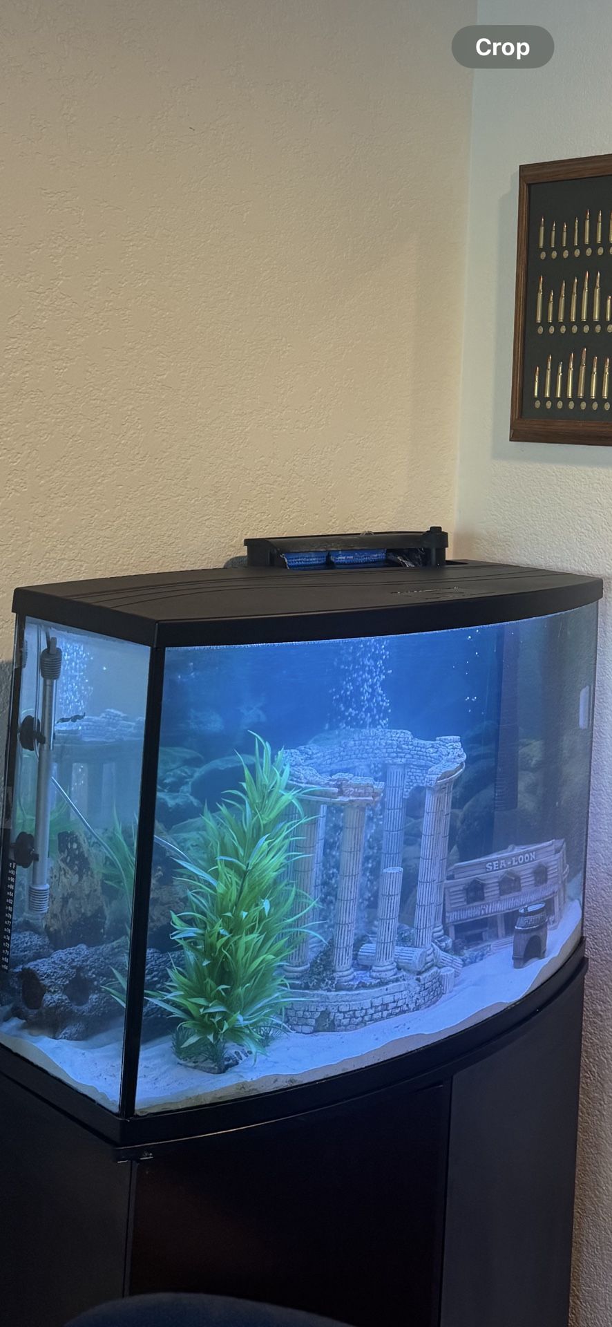 36 Gallon Fish Tank Everything Included